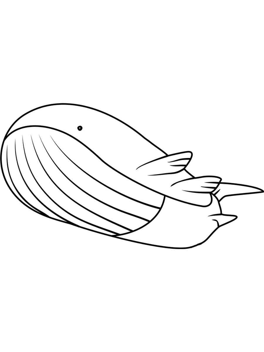 Wailord Pokemon Coloring Pages