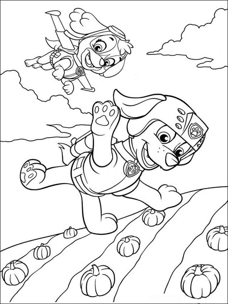 Zuma Paw Patrol coloring pages. Download and print Zuma Paw Patrol