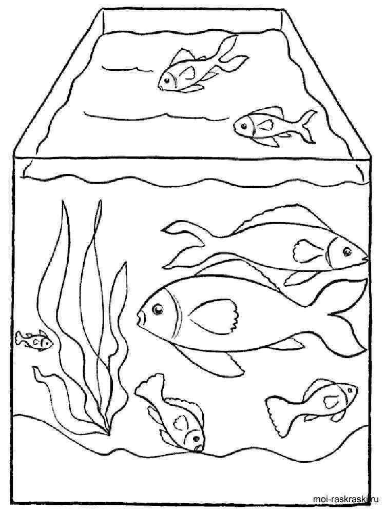 Aquarium coloring pages. Free Printable Aquarium coloring pages.