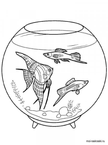 Aquarium coloring pages