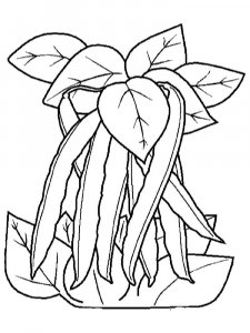 Beans coloring page 10 - Free printable