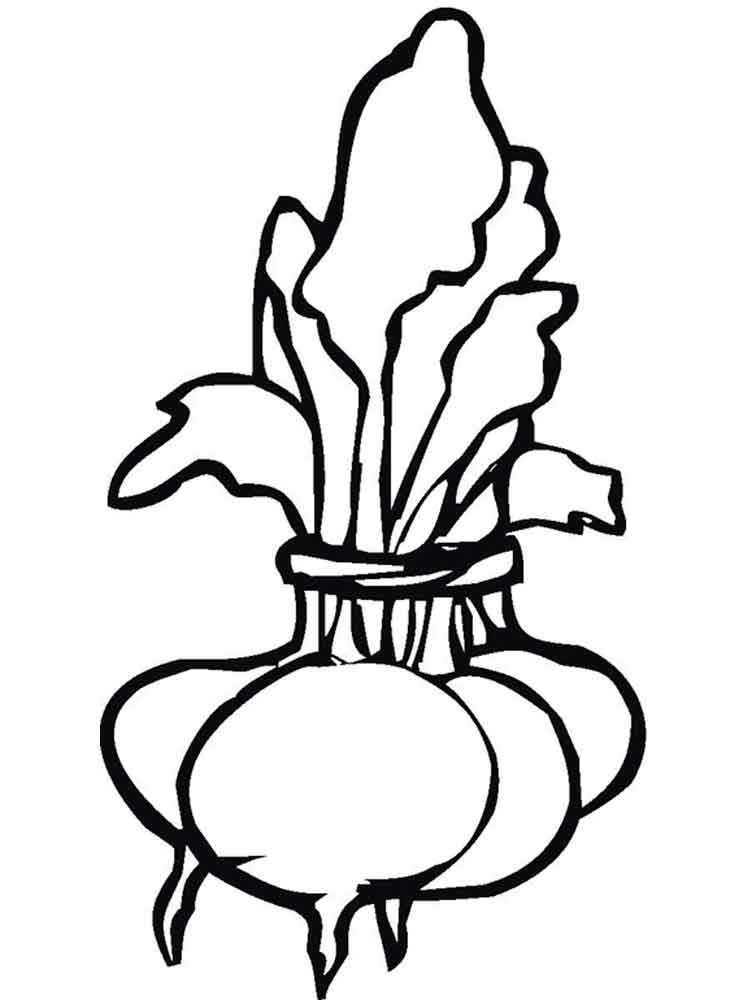 Download Beet coloring pages. Download and print Beet coloring pages