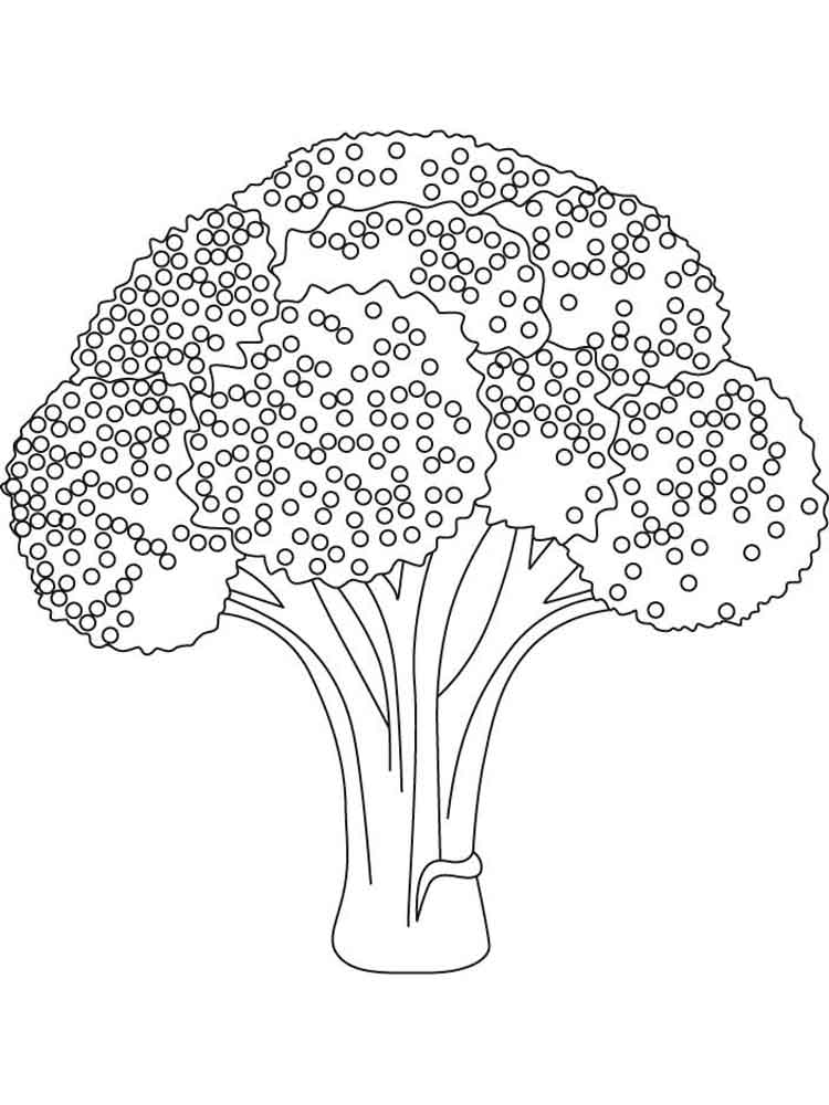 Download Broccoli coloring pages. Download and print Broccoli coloring pages