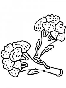 Broccoli coloring page 6 - Free printable
