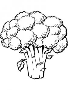 Broccoli coloring page 9 - Free printable