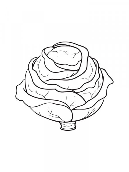 Cabbage coloring pages