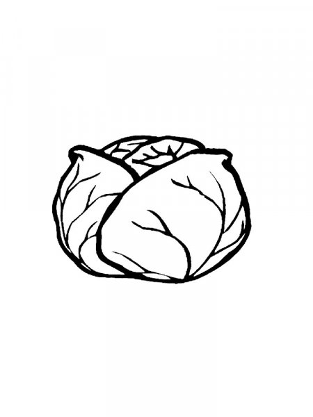 Cabbage Coloring Page for Kids Coloring pages, Fruit coloring pages, Vegetable c