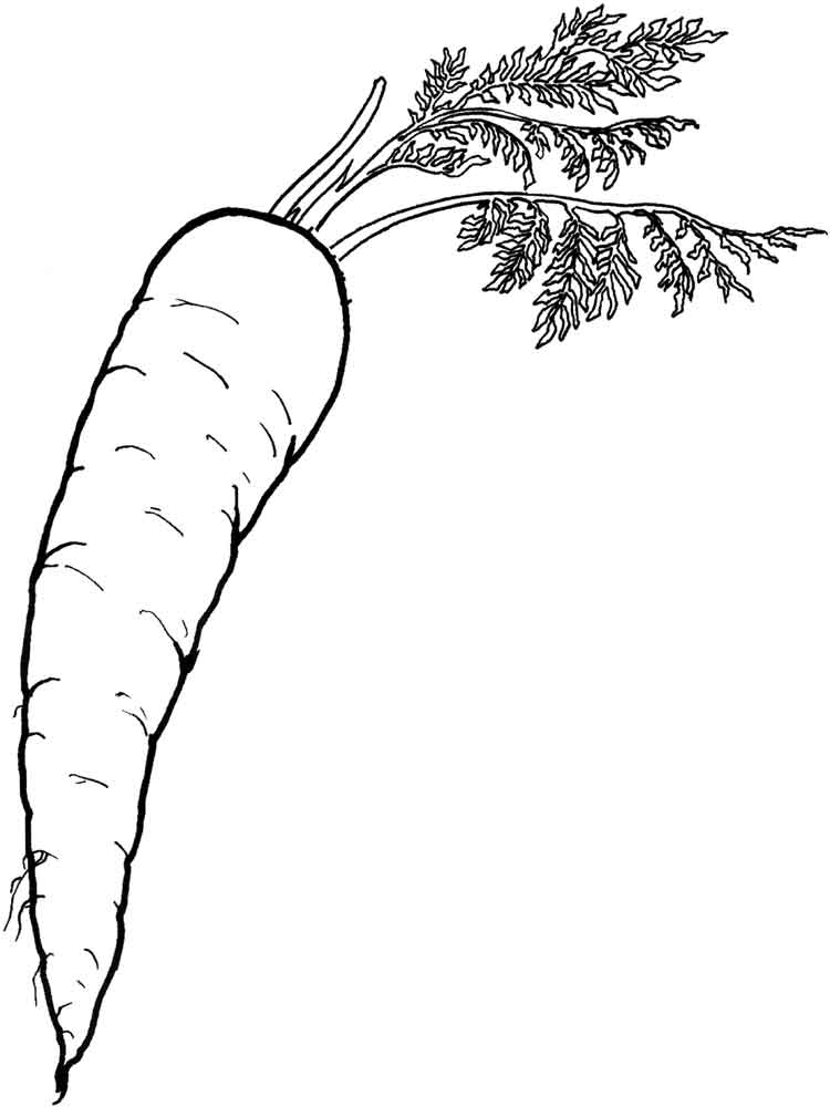Carrot coloring pages. Download and print Carrot coloring pages