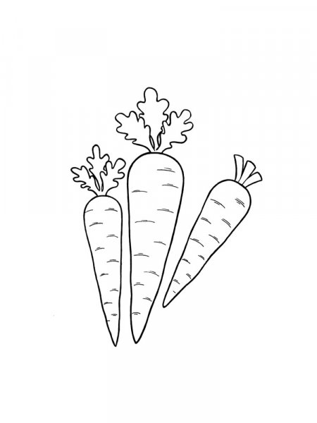 Carrot coloring pages