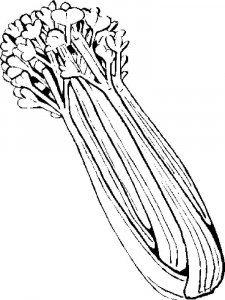 Celery coloring page 1 - Free printable
