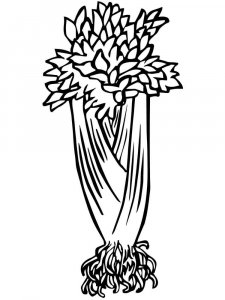 Celery coloring page 5 - Free printable