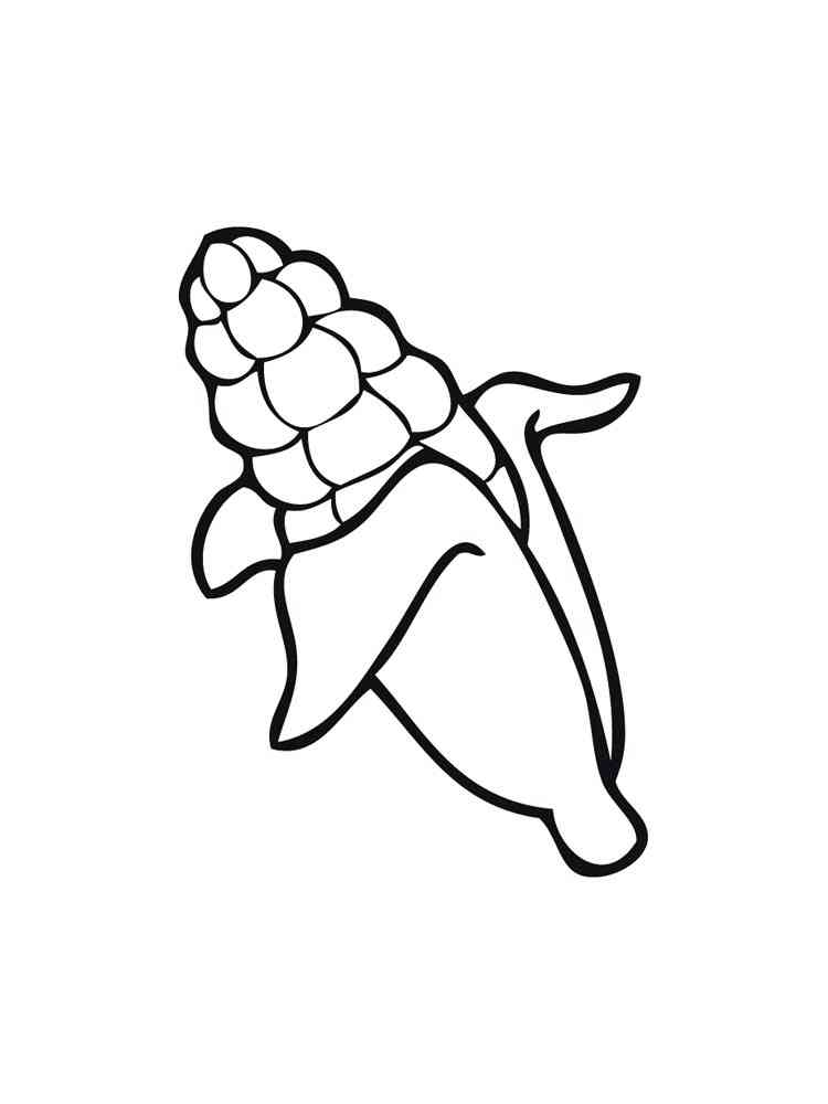Corn coloring pages. Download and print Corn coloring pages