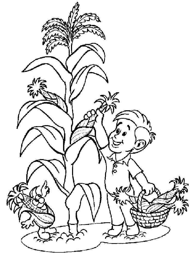 Download Corn coloring pages. Download and print Corn coloring pages