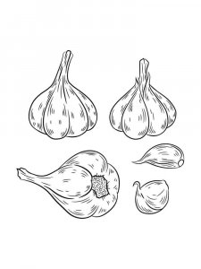 Garlic coloring page 10 - Free printable