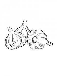 Garlic coloring page 12 - Free printable