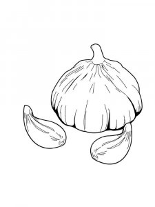 Garlic coloring page 13 - Free printable