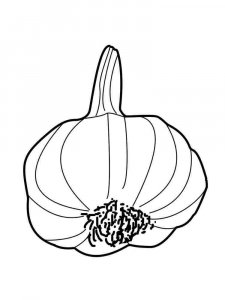 Garlic coloring page 2 - Free printable