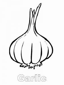 Garlic coloring page 3 - Free printable