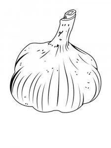 Garlic coloring page 7 - Free printable