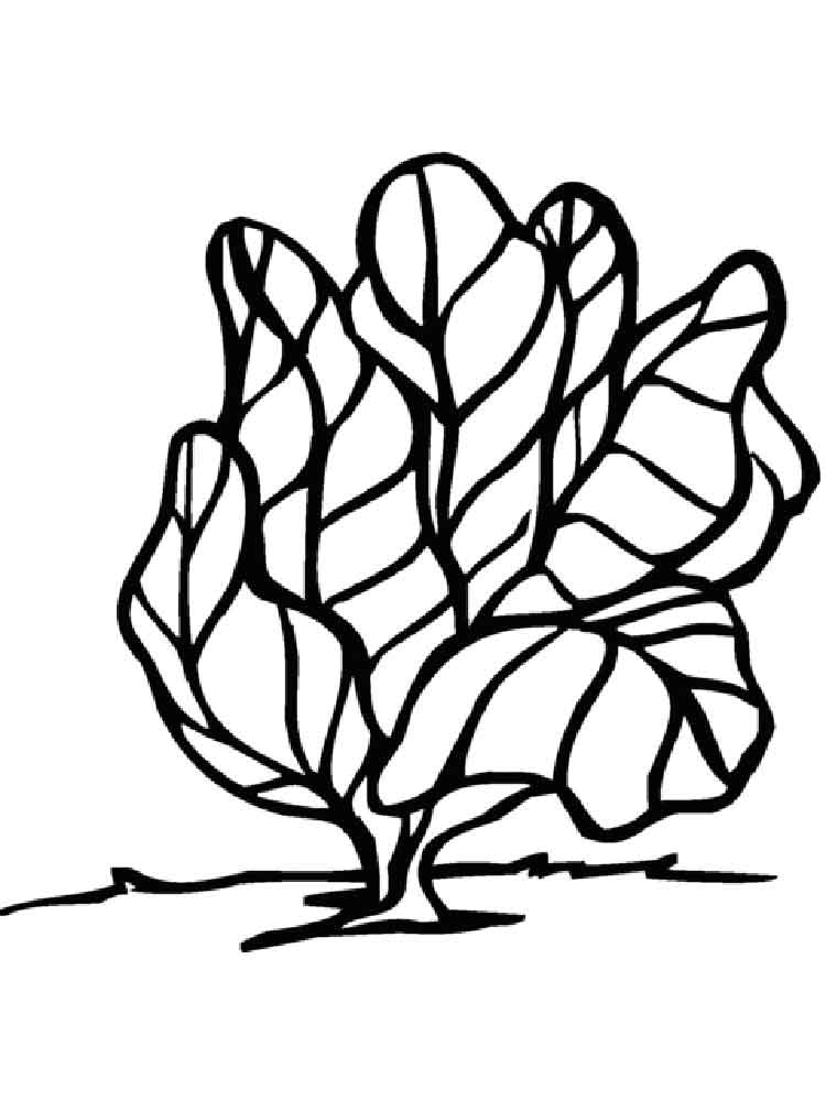 Download Lettuce coloring pages. Download and print Lettuce coloring pages