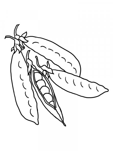 Peas coloring pages