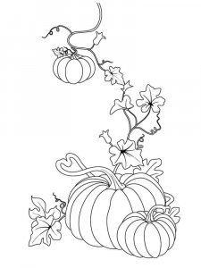 Pumpkin coloring page 19 - Free printable