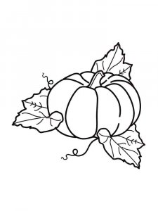 Pumpkin coloring page 21 - Free printable