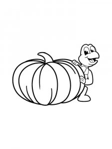 Pumpkin coloring page 24 - Free printable
