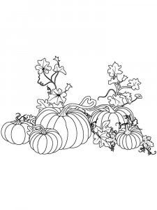 Pumpkin coloring page 25 - Free printable