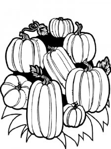 Pumpkin coloring page 1 - Free printable