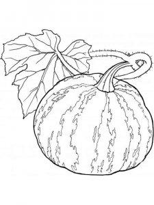 Pumpkin coloring page 12 - Free printable