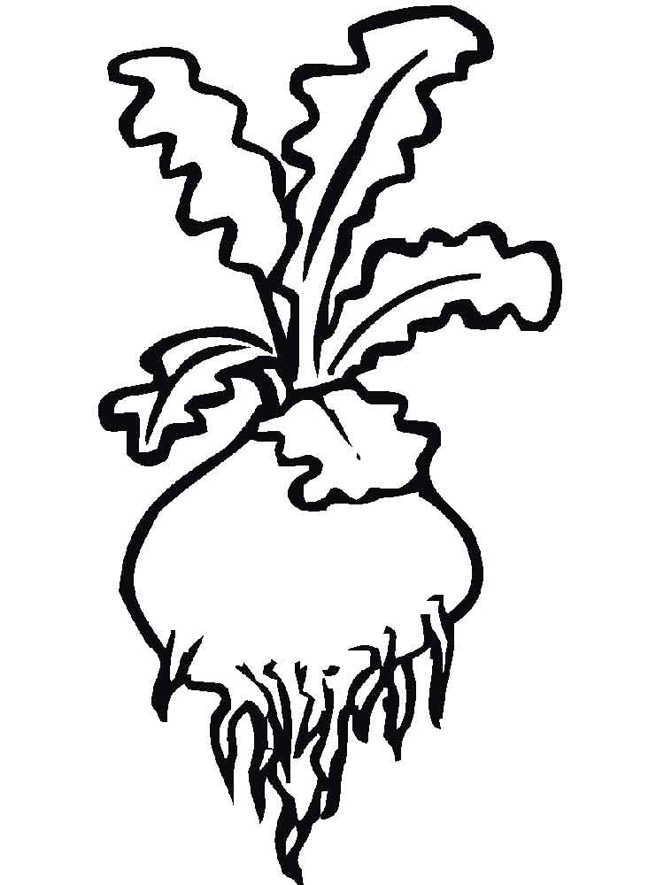 Download Turnip coloring pages. Download and print Turnip coloring pages