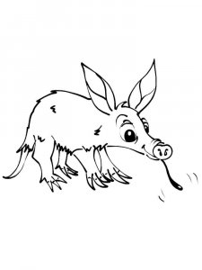 Aardvark coloring page - picture 1
