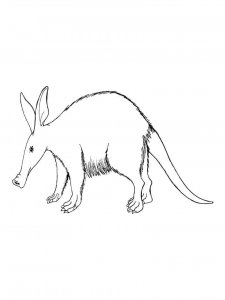 Aardvark coloring page - picture 10