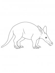 Aardvark coloring page - picture 11