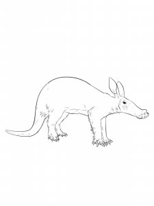Aardvark coloring page - picture 4