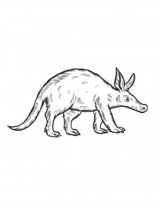Aardvark coloring page - picture 5