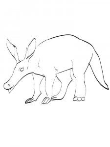 Aardvark coloring page - picture 6