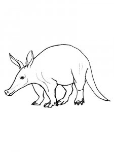 Aardvark coloring page - picture 7