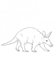 Aardvark coloring page - picture 9