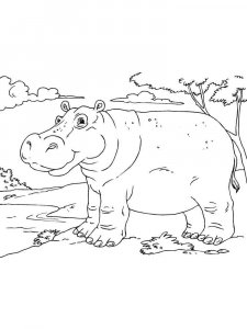 African Animals coloring page - picture 11