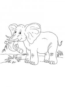 African Animals coloring page - picture 15