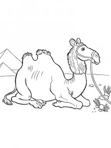 African Animals coloring page - picture 17