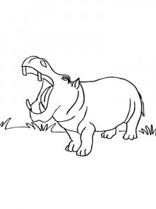 African Animals coloring page - picture 18