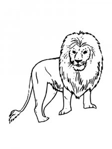African Animals coloring page - picture 19