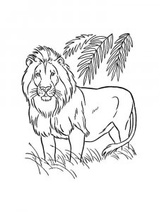 African Animals coloring page - picture 21