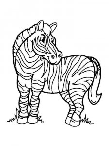 African Animals coloring page - picture 22
