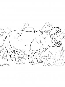 African Animals coloring page - picture 24