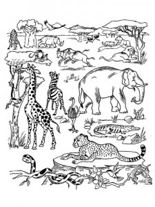 African Animals coloring page - picture 25