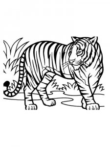 African Animals coloring page - picture 26